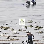 Norat 3* Superior Hotel