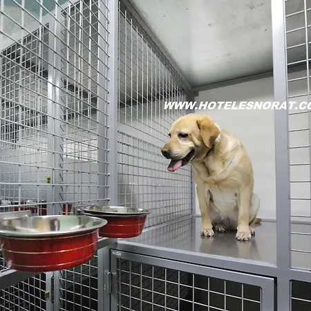 Norat 3* Superior 3*