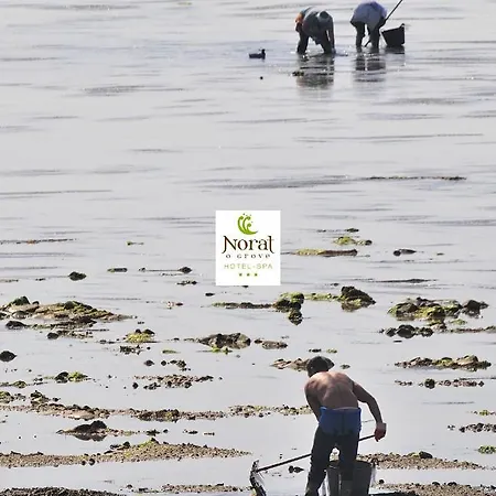 Norat 3* Superior Hotel