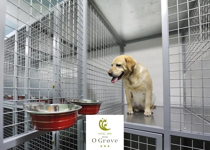 Norat 3* Superior 3*