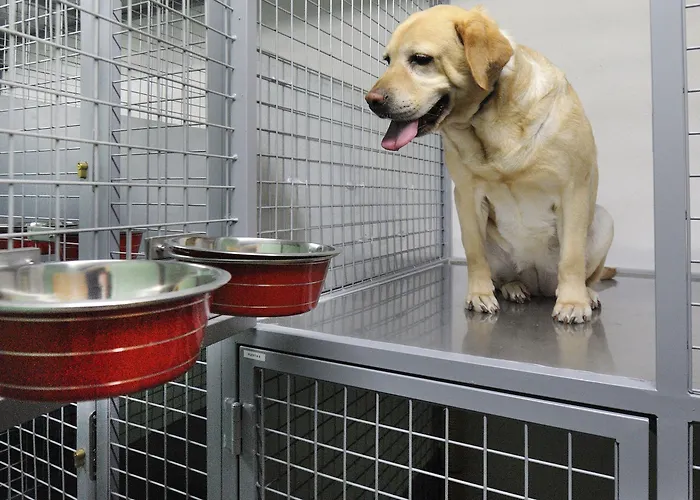 Norat 3* Superior 3* O Grove