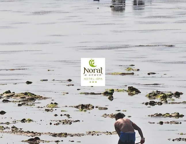 Norat 3* Superior فندق